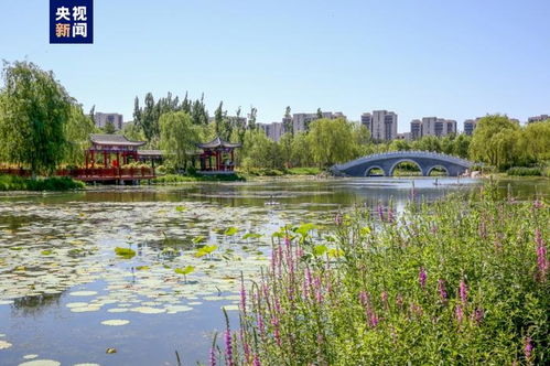 北京十年綠色奇跡 城市綠化面積相當于219個奧林匹克森林公園