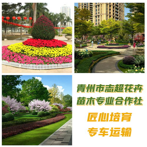 城市綠化建設與管理的生態哲學 從“大量供應”到“可持續發展”