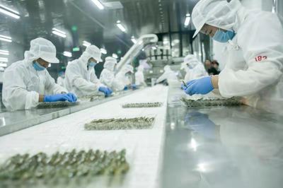 山東無棣渤海水產 培育“民族品牌”融入“世界舞臺” 知識產權服務賦能高質量發展