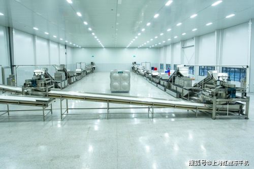 食品凍干技術為鄉(xiāng)村振興賦新能,凍干設備生產(chǎn)線廠家