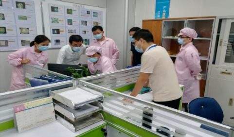 瑞谷光網與華為合作以來質量績效連續評a,體系建設獲優秀評價